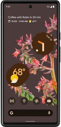 Google Pixel 6