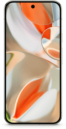 Google Pixel 9 Pro XL